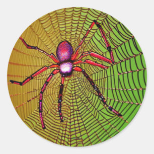 Red Spider on Web Classic Round Sticker