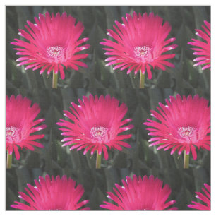 Red Spike Ice Plant Bloom Fabric
