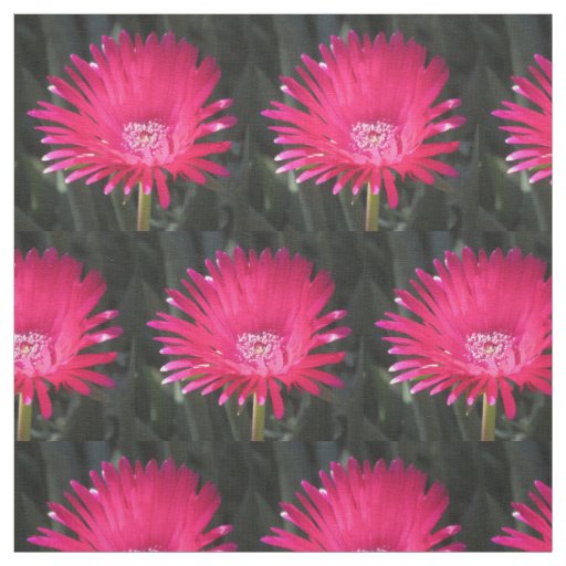 Red Spike Ice Plant Bloom Fabric