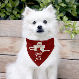 Red Spoiled Dog Gift for Dog Mom Since Birth Pet Bandana Collar