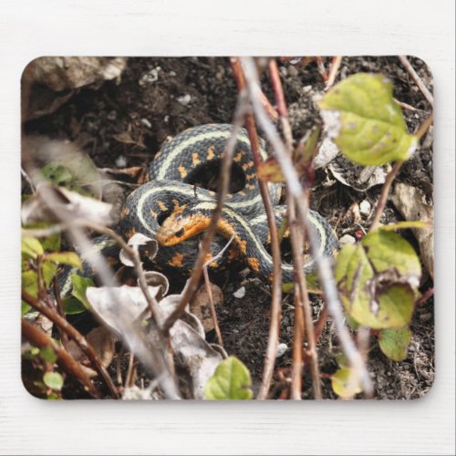 Red_spotted Gartersnake Mouse Pad