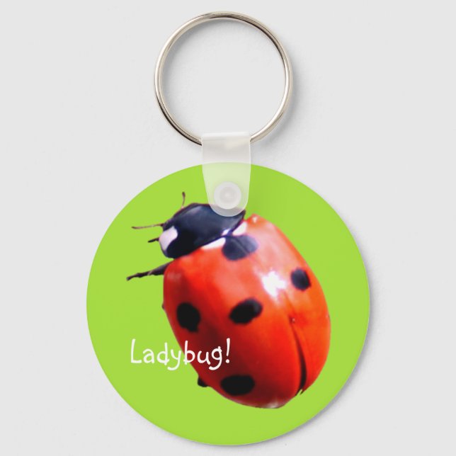 Red Spotted Ladybug Keychain (Front)