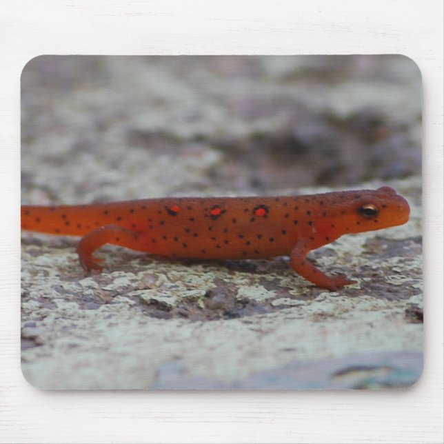 Red Spotted Newt mousepad (Front)