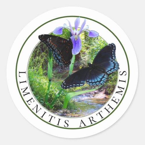 Red Spotted Purple Butterflies and Blue Flag Iris Classic Round Sticker