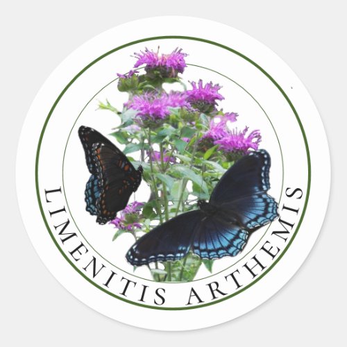 Red Spotted Purple Butterflies on Bee Balm Classic Round Sticker