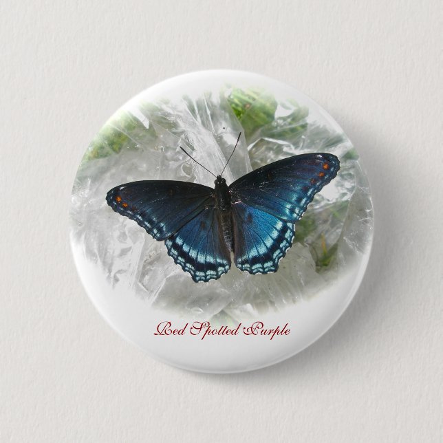 Red Spotted Purple Butterfly Button Badge (Front)