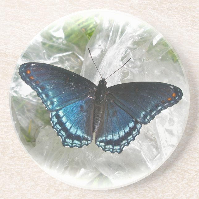 Red Spotted Purple Butterfly Coaster (Front)