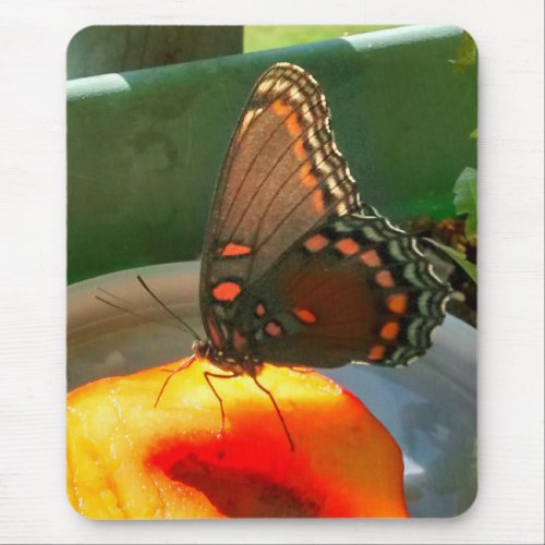 Red_Spotted Purple Butterfly Drinking Nectarine Mouse Pad