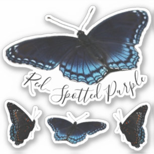 Red Spotted Purple Butterfly Set Sticker