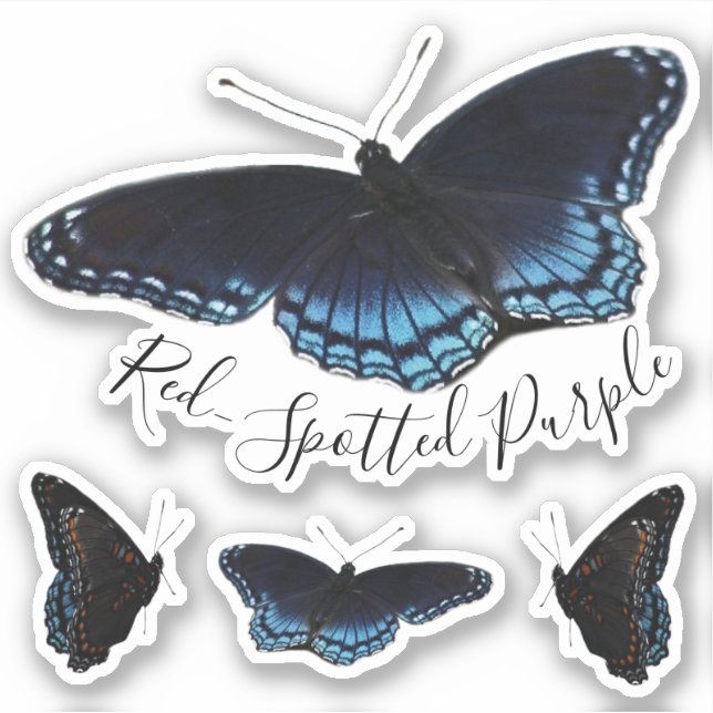 Red Spotted Purple Butterfly Set Sticker (Front)