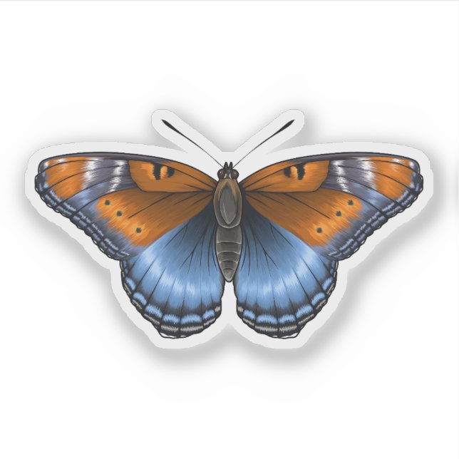 Red spotted purple Butterfly Sticker (Front)