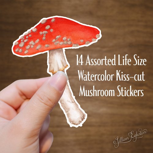 Red Spotted Watercolor Mushrooms Sticker
