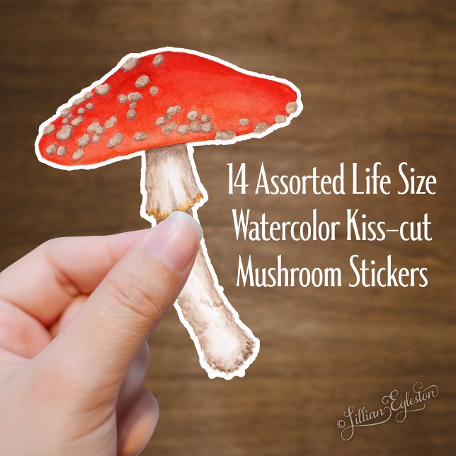 Red Spotted Watercolor Mushrooms Sticker (Creator Uploaded)