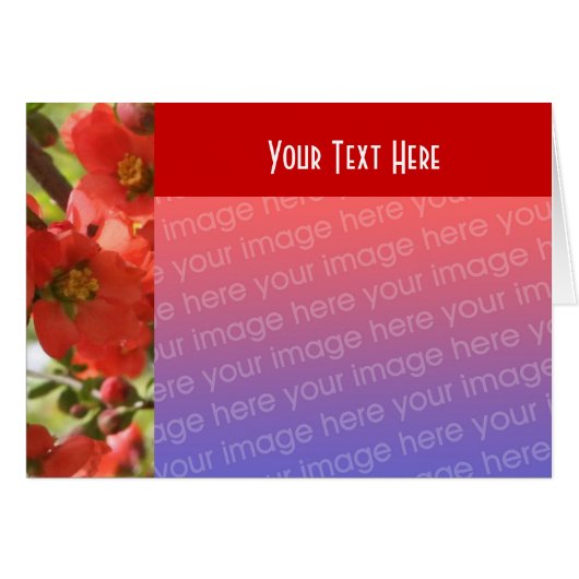 Red Spring Blossoms Floral Photo Card (Front Horizontal)