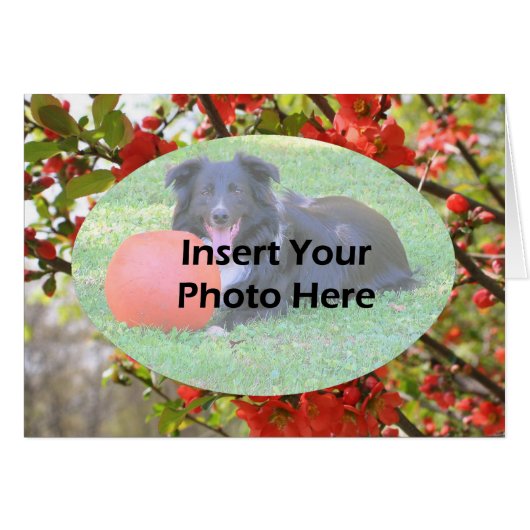 Red Spring Blossoms Floral Photo Card (Front Horizontal)