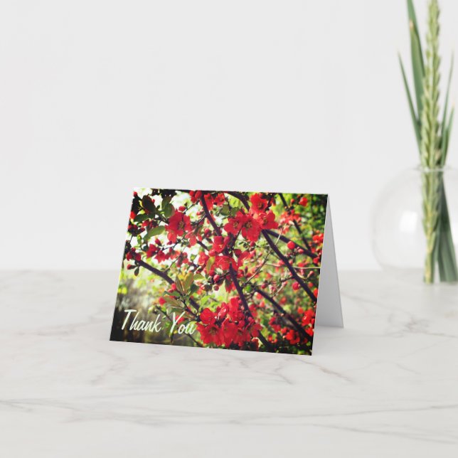 Red Spring Flower Blossoms Thank You Card (Front)