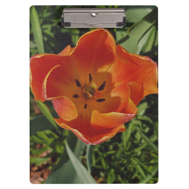 red spring flower  clipboard (Front)
