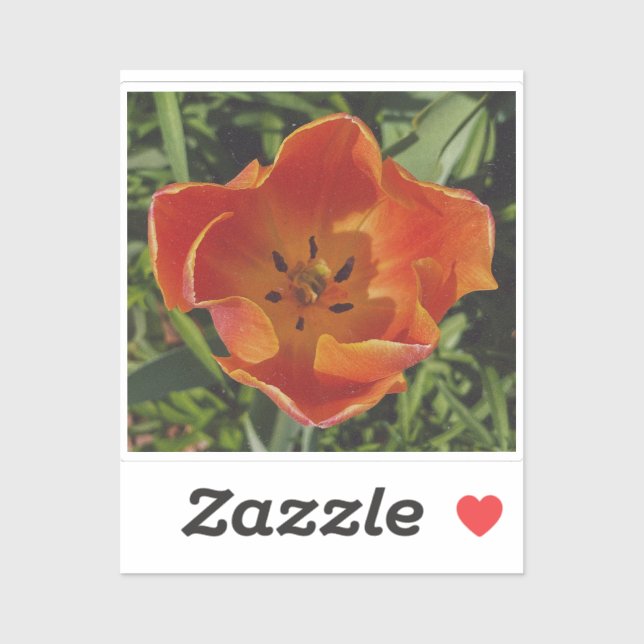 red spring flower  sticker (Sheet)