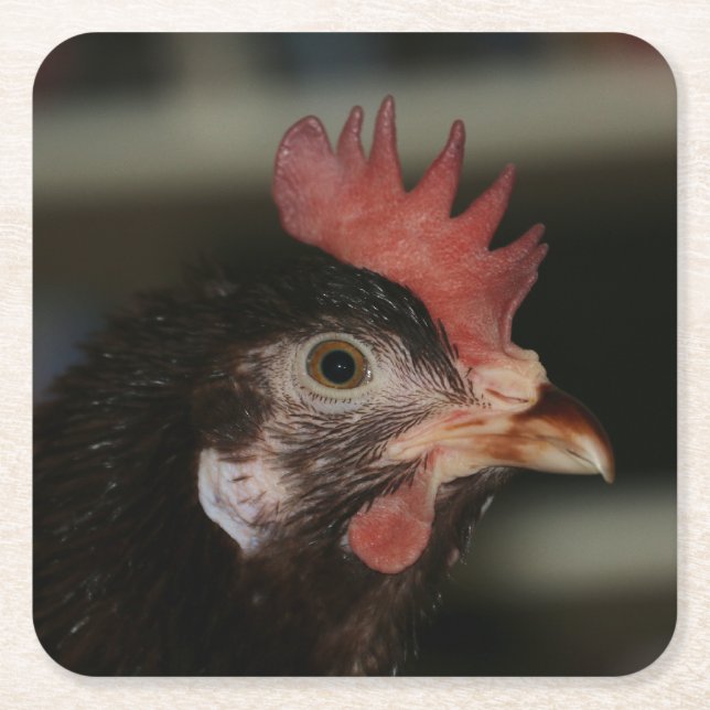 Red Square Paper Coaster (Front)