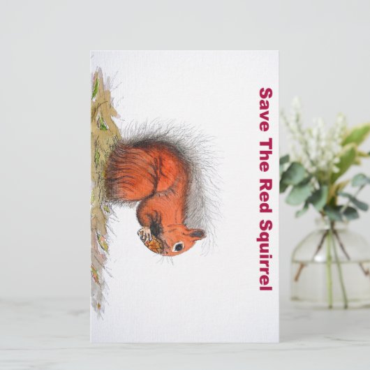 Red Squirrel (Standing Front)