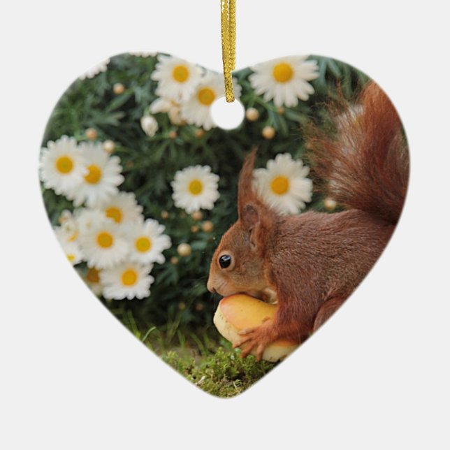 Red Squirrel and Daisies Cute Photo Ceramic Ornament (Front)