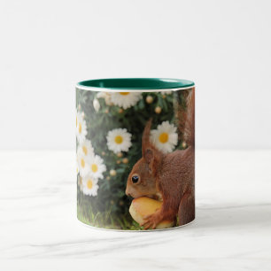 Red Squirrel and Daisies Two-Tone Coffee Mug