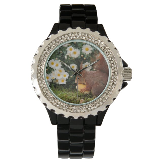 Red Squirrel and flowers Watch (Front)