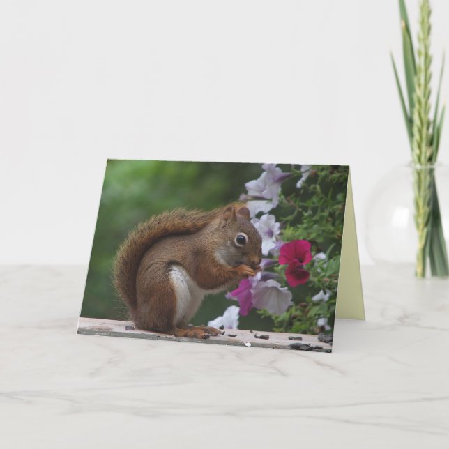 Red Squirrel Birthday Card (Front)