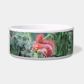 Red Squirrel Bowl