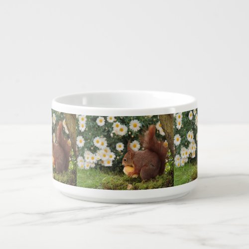 Red Squirrel Bowl
