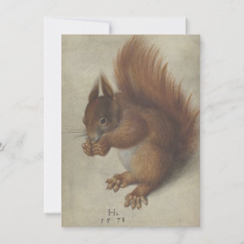 Red Squirrel by Hans Hoffmann