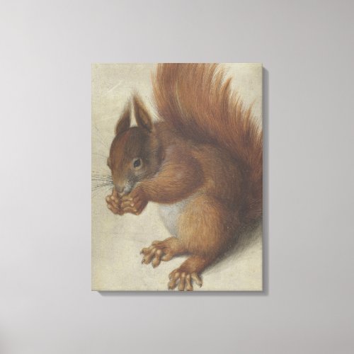 Red Squirrel by Hans Hoffmann Canvas Print