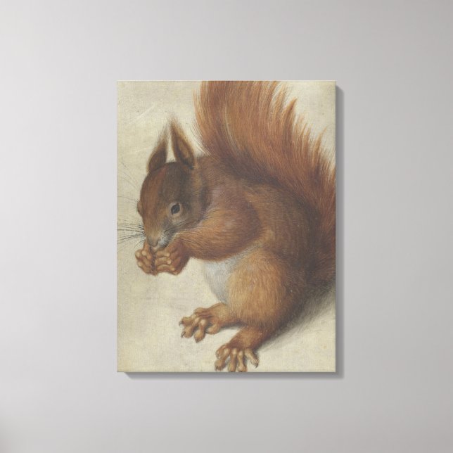 Red Squirrel (by Hans Hoffmann) Canvas Print (Front)