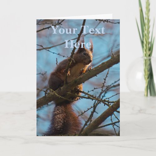 Red Squirrel  Card
