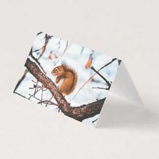 Red Squirrel Card