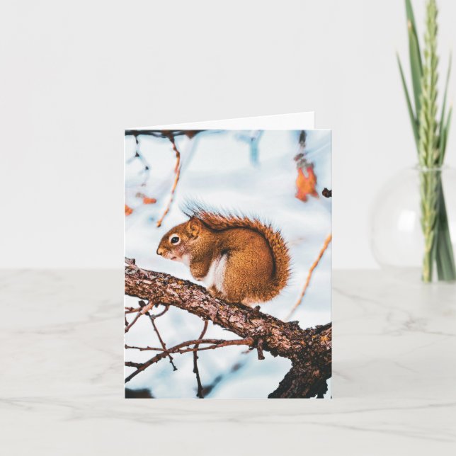 Red Squirrel Card (Front)