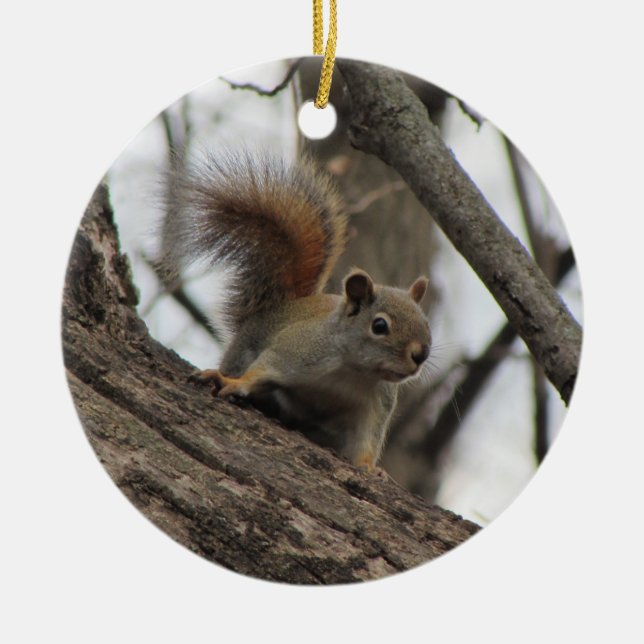 Red Squirrel Ceramic Ornament (Front)