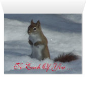 Red Squirrel Christmas Greeting Card (Inside Horizontal (Bottom))