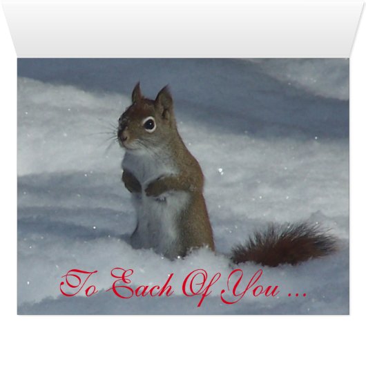 Red Squirrel Christmas Greeting Card (Inside Horizontal (Bottom))