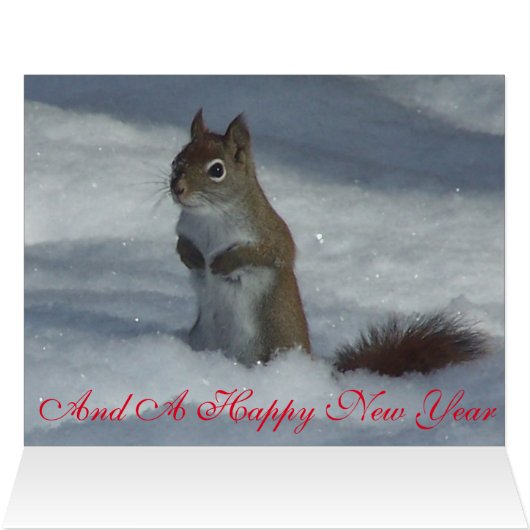 Red Squirrel Christmas Greeting Card (Inside Horizontal (Top))