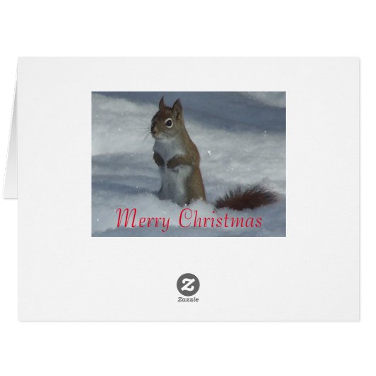 Red Squirrel Christmas Greeting Card (Back Horizontal)