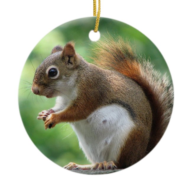 Red Squirrel Christmas Ornament