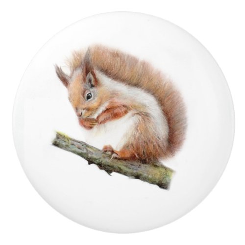 red squirrel door knob handle wildlife animal  ceramic knob