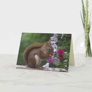 Red Squirrel Easter