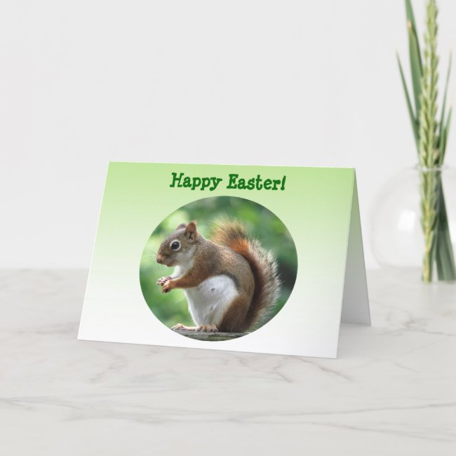 Red Squirrel Easter