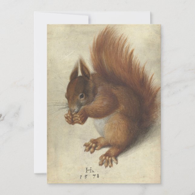 Red Squirrel | Hans Hoffmann (Front)