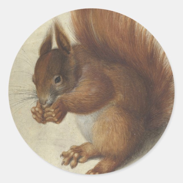Red Squirrel | Hans Hoffmann Classic Round Sticker (Front)