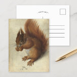 Red Squirrel | Hans Hoffmann Postcard<br><div class="desc">Red Squirrel (1578) by German artist Hans Hoffmann. The original artwork is watercolor and gouache over traces of graphite on vellum. Hoffmann specialized in nature studies,  many of them copied from or based on Albrecht Dürer's work.

Use the design tools to add custom text or personalize the image.</div>