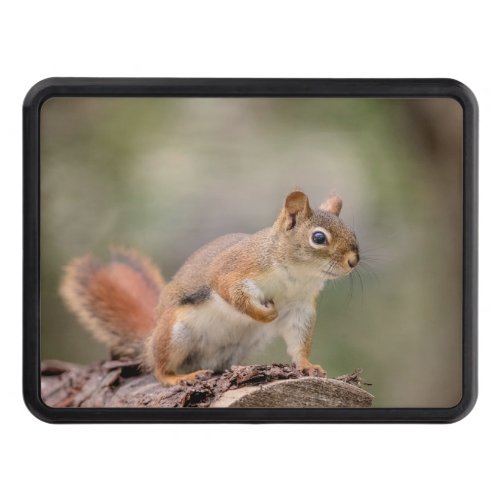 Red Squirrel Hitch Cover