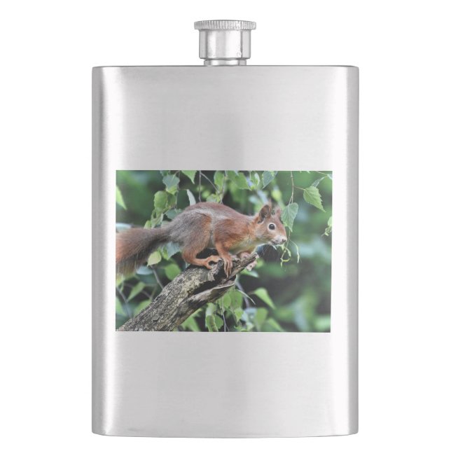 Red Squirrel in Tree Flask (Front)